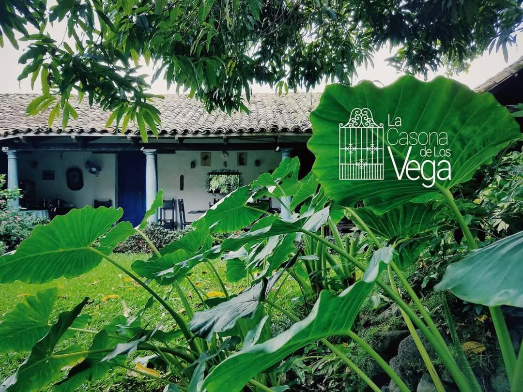 Casona Los Vega Izalco 外观 照片