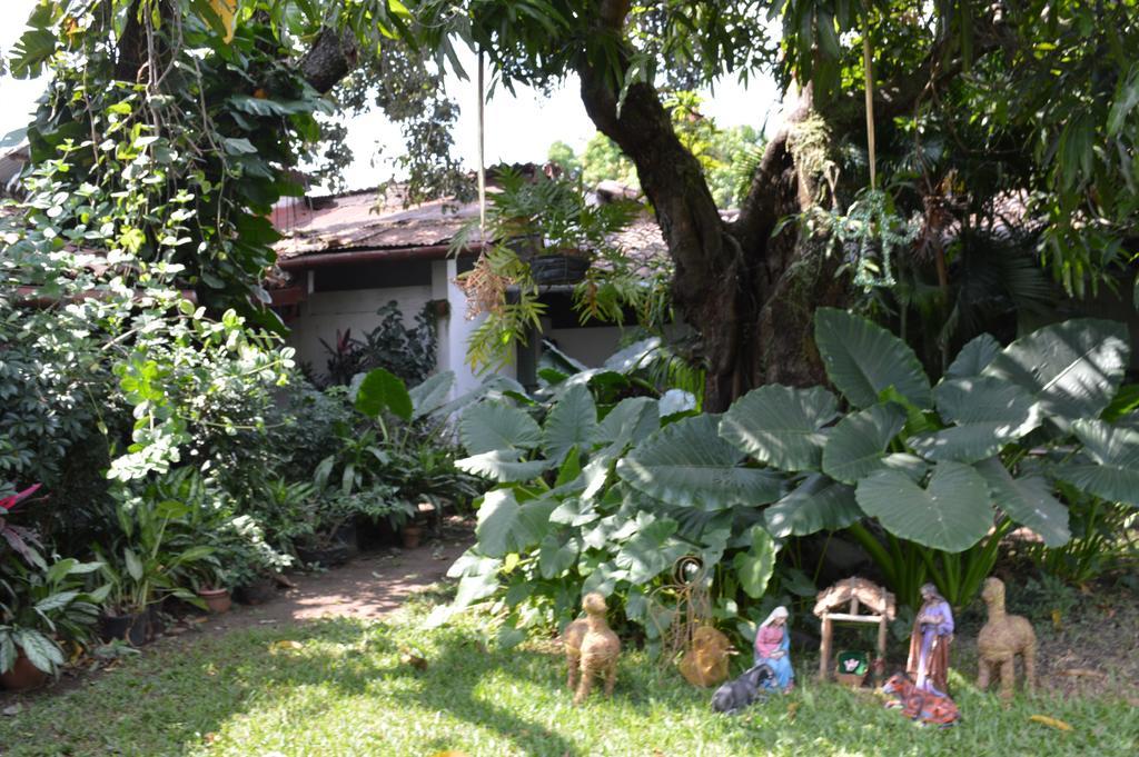 Casona Los Vega Izalco 外观 照片